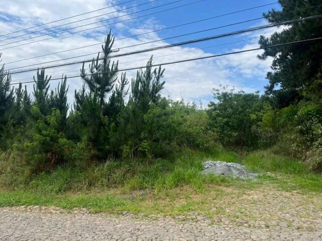 #119 - Área para Venda em Cotia - SP - 3